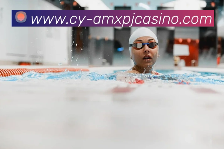 澳门新葡京娱乐平台生态图