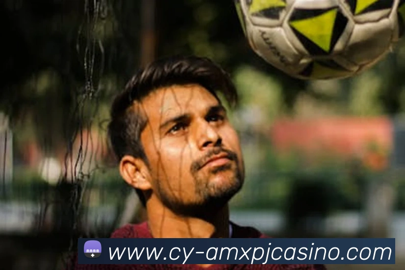 澳门新葡京娱乐APP 封面图